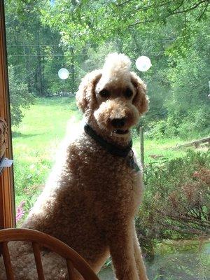 Teddy and his signature Mohawk.