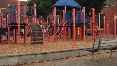 Playground, great for arm strength.