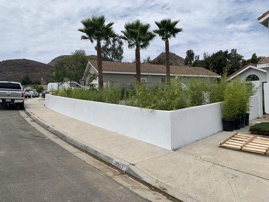 Smooth, stucco covered block wall for privacy