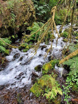 Waterfall