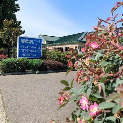 VCA West Seattle entrance