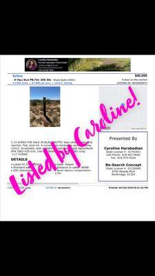 Land for Sale - Black Butte