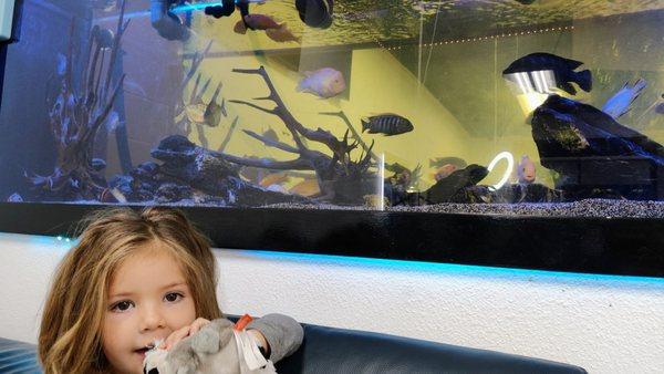 Fish tank in the waiting room