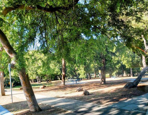 Picnic tables