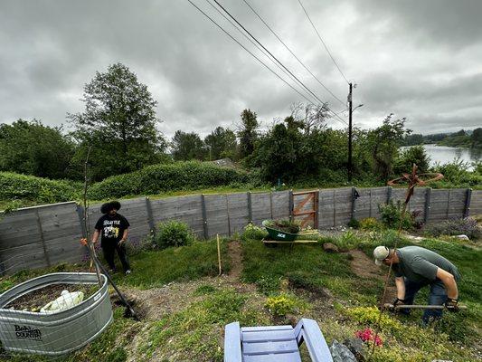 Lawn removal