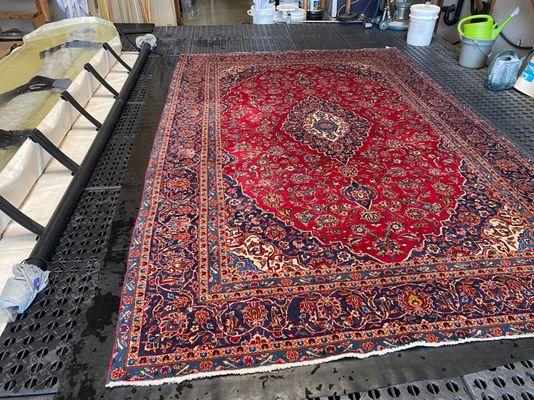 Persian wool rug 100% guaranteed pet stain removal