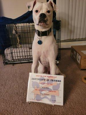 Harvey with his certificate.