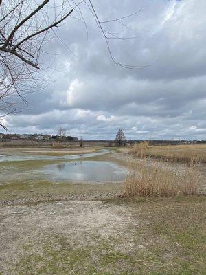 Emptied Pond