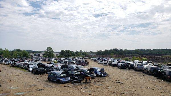 Part of our vast domestic vehicle yard.