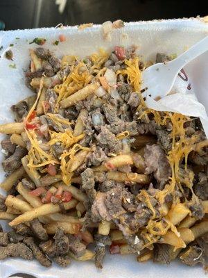 Carne Asada Fries 1/2 of an order.