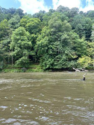 Out on the river