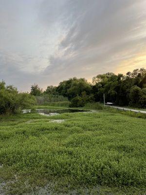 Under the golf course bridge