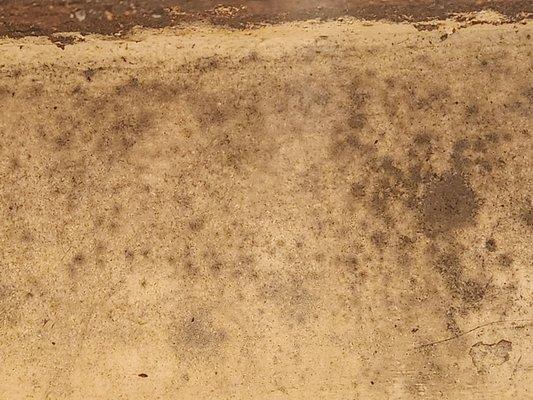 Mold on top of medicine cabinet