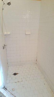 Tiled Peachtree City shower before restoration.