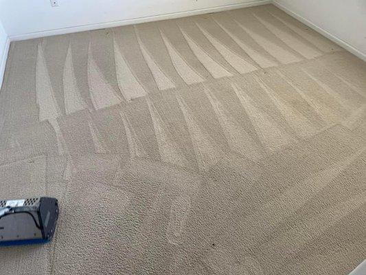 Starting at $29.95 carpet,tile and upholstery cleaning