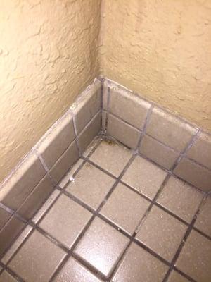 Dirt on tile in corner so gross