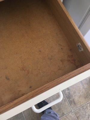 Move-in: Mildew and water stained kitchen draws.