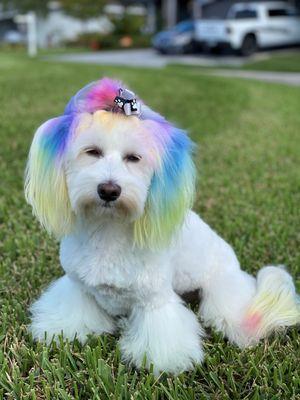 Missy showing off her new "Asian Fusion" hair cut!