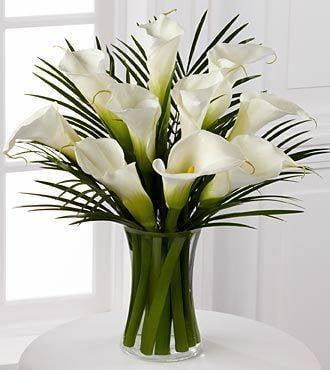 white Callas