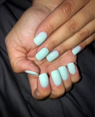 SNS powder dip manicure $45