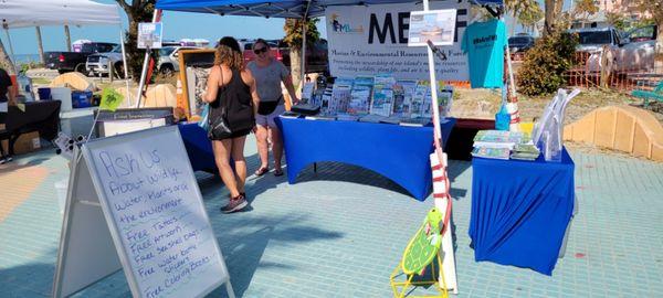 Marine Information. Free coloring books for kids.Turtle hatching display.