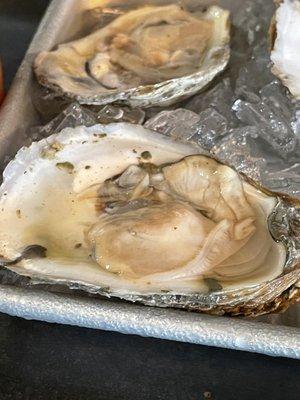 Raw Oyster