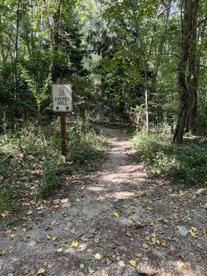 Start of the trail to Jayne's Hill