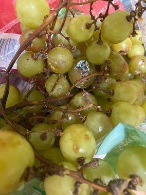 Grapes with mold on it