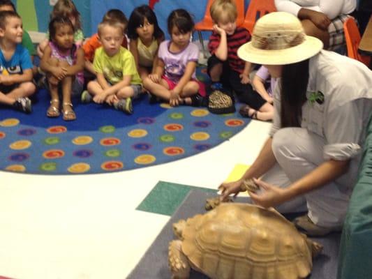 Jungle Jill brings many animals for the children to experience.