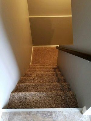 Stairs...the basement and rest of the house was done as well, but we can't walk on the carpet yet!