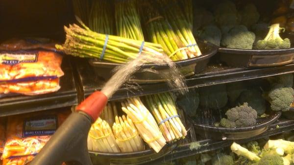 Just watering the vegetables... You're welcome!