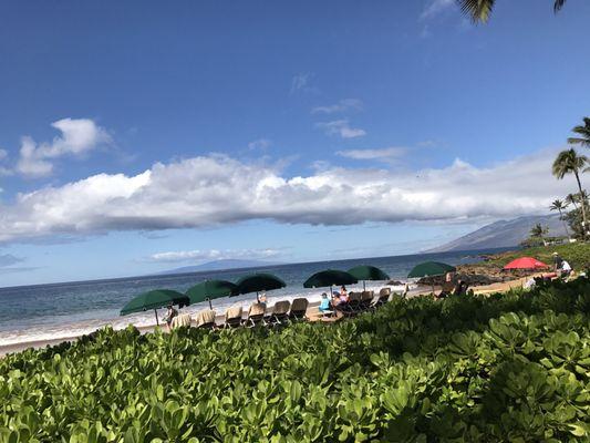 Left side of the par 3, ocean view.