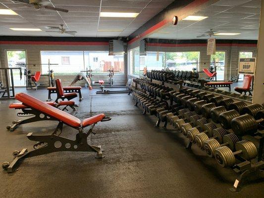 Bench and free weights area