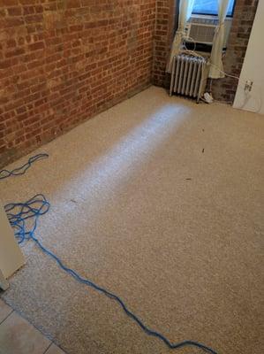 The only thing left is a few burns in the carpet but other than that this carpet is clean!