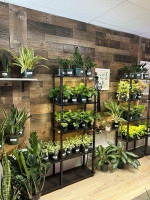 Plant selection