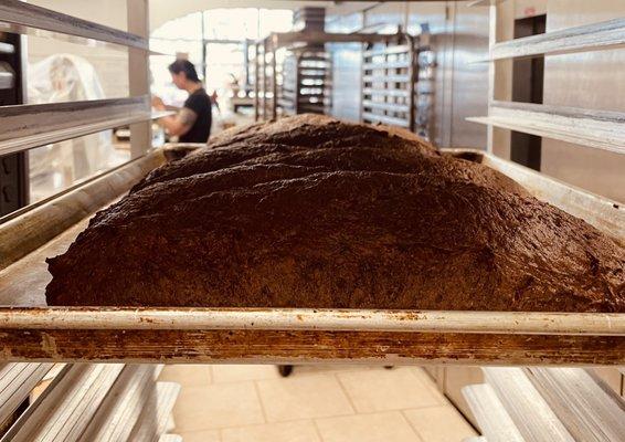 Freshly baked bread ..right out of the oven.