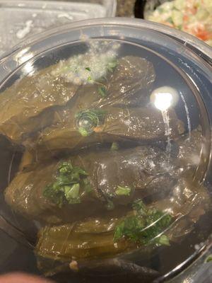 freshly made stuffed grapeleaves