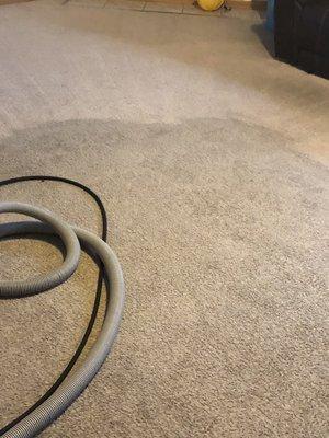 Carpet cleaning before and after