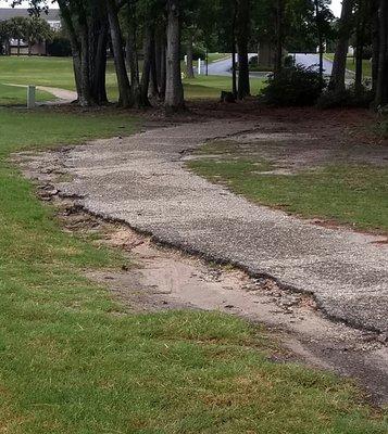 Cart paths barely 2 feet wide...