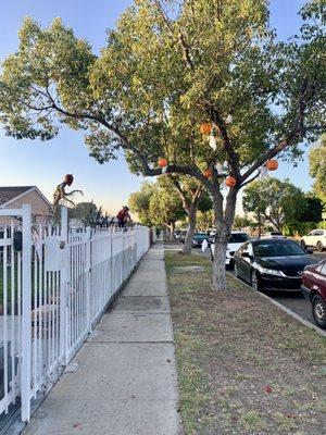 Halloween decors  are on display