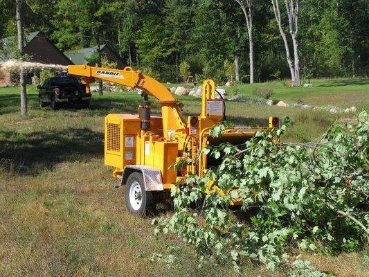 Joe Hanley's Tree Trimming