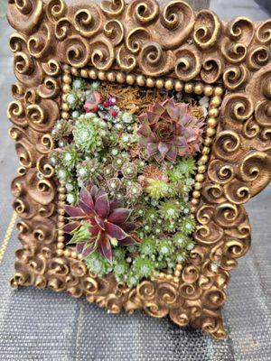 I need this succulent picture frame in my life.