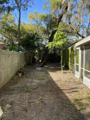 Leaf pick up corner, cleanout debris