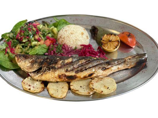 Branzino, Mediterranean Seabass