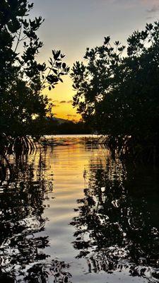 Little sunset view coming out of the mangrove