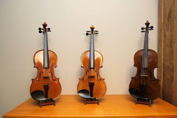 Violin Showroom