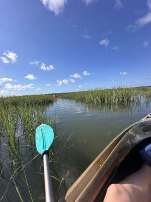 Exploring the creeks