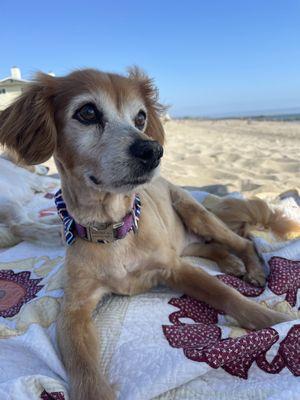 Enjoying the the beach