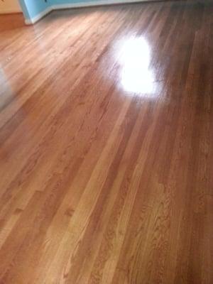 We just refinish a solid hardwood floor.