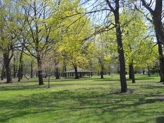 Looking in to Clark Park from Nevería La Michoacana-- needs benches and tables!